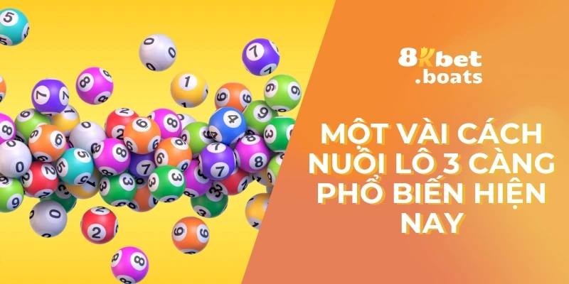 Một vài cách nuôi lô 3 càng phổ biến hiện nay