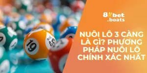 Nuôi Lô 3 Càng Là Gì? Phương Pháp Nuôi Lô Chính Xác Nhất